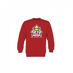 Fischtown Pinguins - Sweatshirt KIDS - red - LOGO - 7-8y
