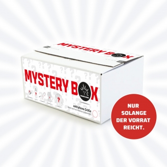 Dresdner Eislöwen - Mystery Box