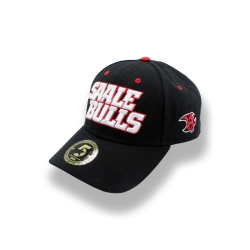 Saale Bulls - KIDS Curved-Cap - black - Schriftzug - 55cm