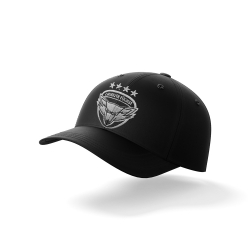 Lausitzer Füchse - ADULT Curved-Cap - black - Silver Logo / 58,5cm