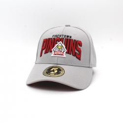 Fischtown Pinguins - ADULT Curved-Cap - grey - Big Logo - 58,5cm