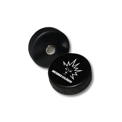 Dresdner Eislöwen - Minipuck - Magnet - mit Logo