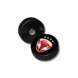 Lausitzer Füchse - Minipuck - Magnet - mit Logo