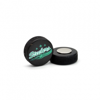 Steelers - Minipuck - Magnet - mit Logo