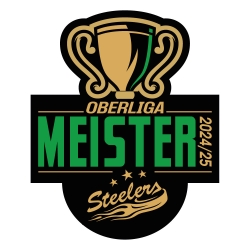 Steelers - Aufkleber 55x67mm - Meister 2025