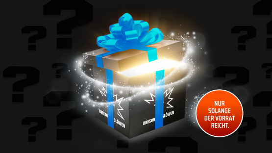 Mystery-Box der Dresdner Eislöwen